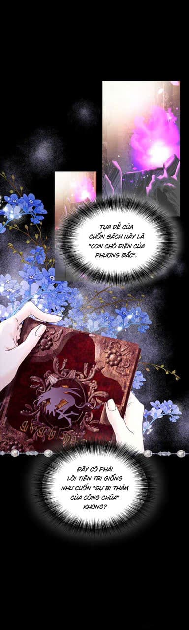 Ác Nữ Thuần Hóa Ác Quỷ Điên Rồ Chapter 3 - Trang 17