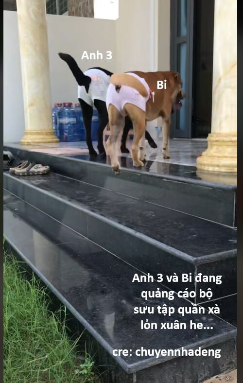 Hổ Đến Chơi Nhà Chapter 142 - Trang 80