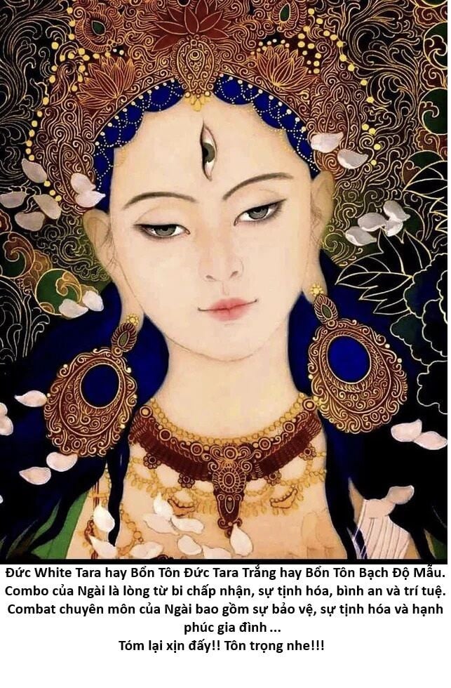 Hổ Đến Chơi Nhà Chapter 142 - Trang 72