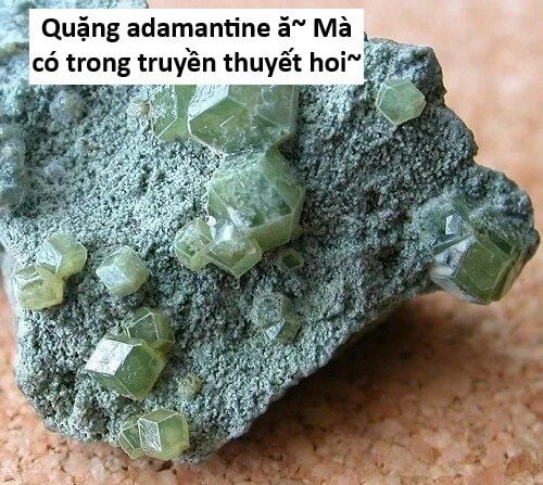 Hổ Đến Chơi Nhà Chapter 141 - Trang 100