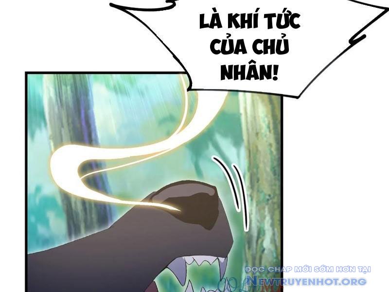 Hoá Ra Ta Đã Vô Địch Từ Lâu chapter 301 - Trang 78