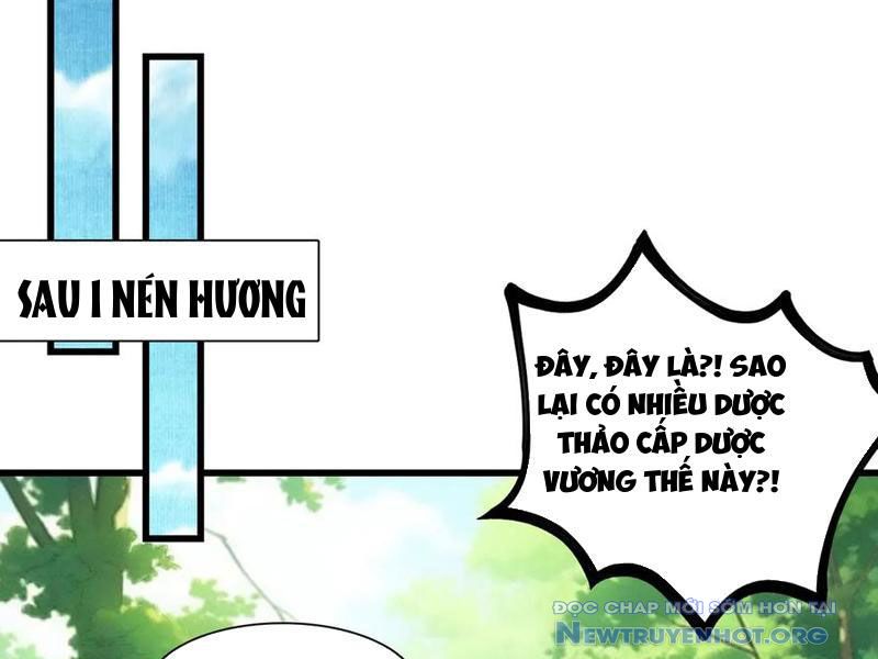 Gặp mạnh thì càng mạnh, tu vi của ta không giới hạn chapter 50 - Trang 71