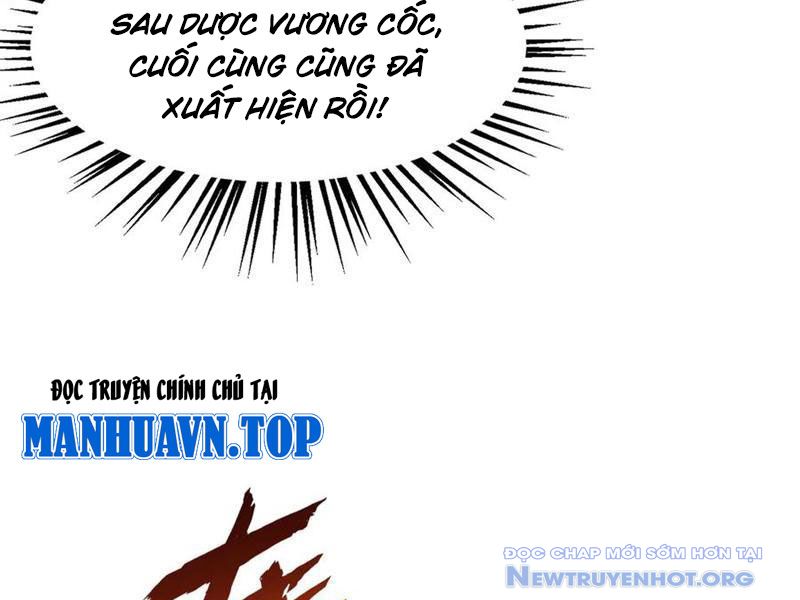 Gặp mạnh thì càng mạnh, tu vi của ta không giới hạn chapter 50 - Trang 37