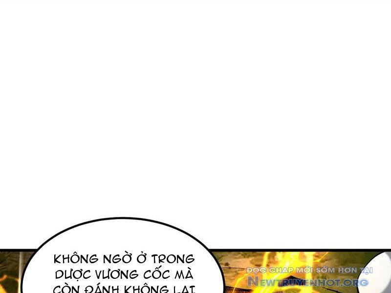 Gặp mạnh thì càng mạnh, tu vi của ta không giới hạn chapter 51 - Trang 36
