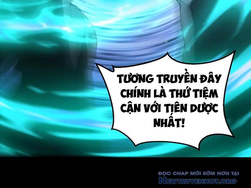 Gặp mạnh thì càng mạnh, tu vi của ta không giới hạn chapter 50 - Trang 121