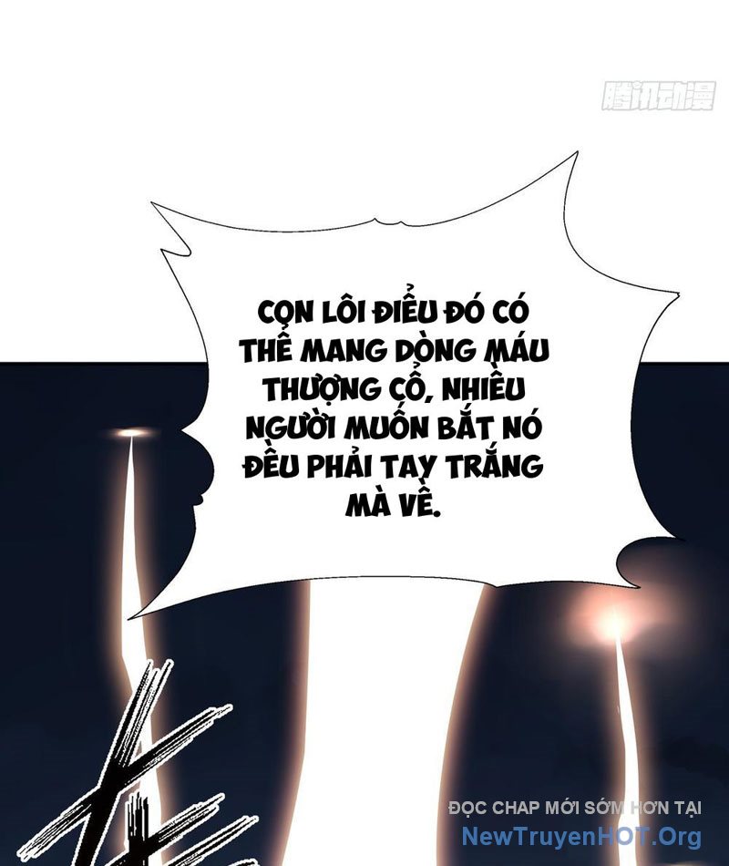 Thái Cổ Thập Hung: Người khác ngự thú ta ngự thú nương chapter 14 - Trang 24