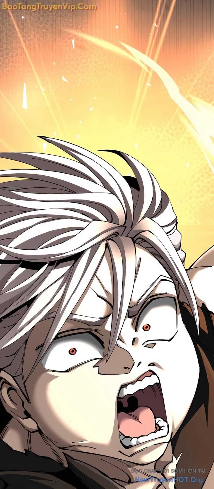 Ông Võ Giả Và Cháu Chí Tôn chapter 96.2 - Trang 12