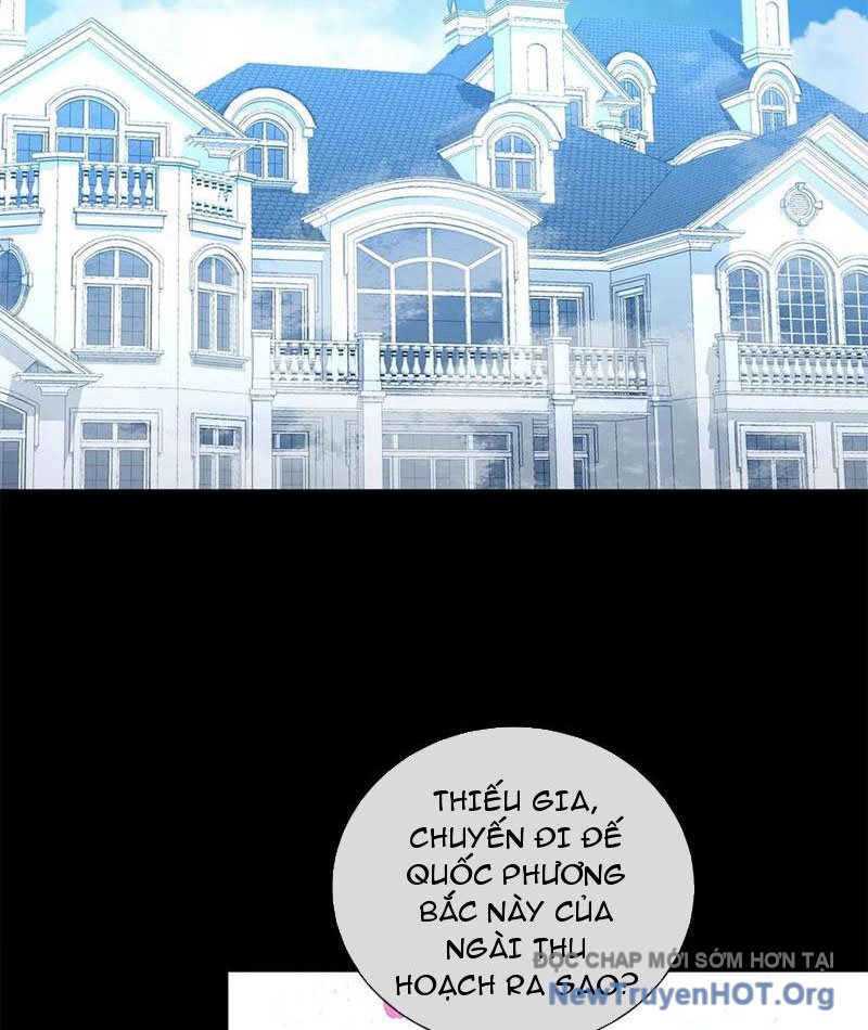Ta Thành Vương Giả Từ Khắc Kim chapter 34 - Trang 32