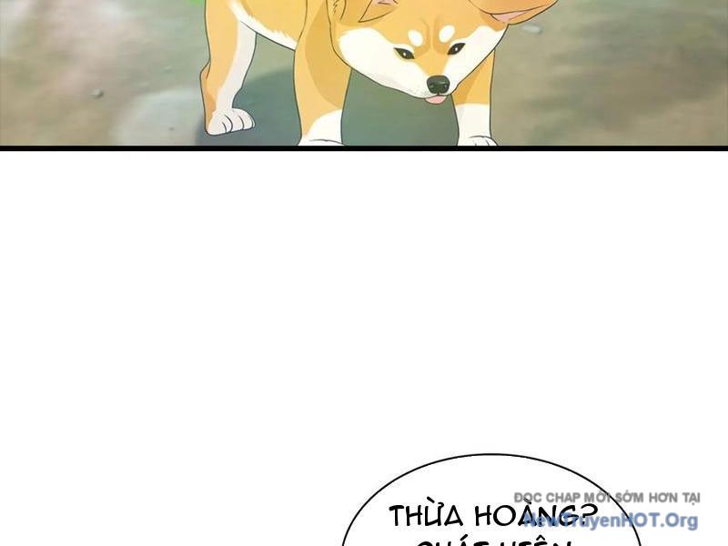 đô Thị Thánh Thủ: Ta Là Y Võ đỉnh Phong chapter 127 - Trang 48