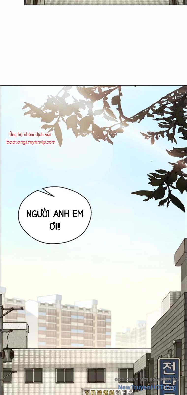 Người Đàn Ông Thực Thụ chapter 209 - Trang 2