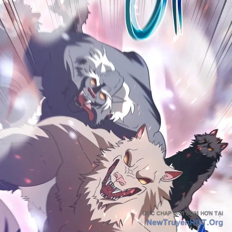 Bậc Thầy Toàn Bộ Kỹ Năng chapter 21 - Trang 24