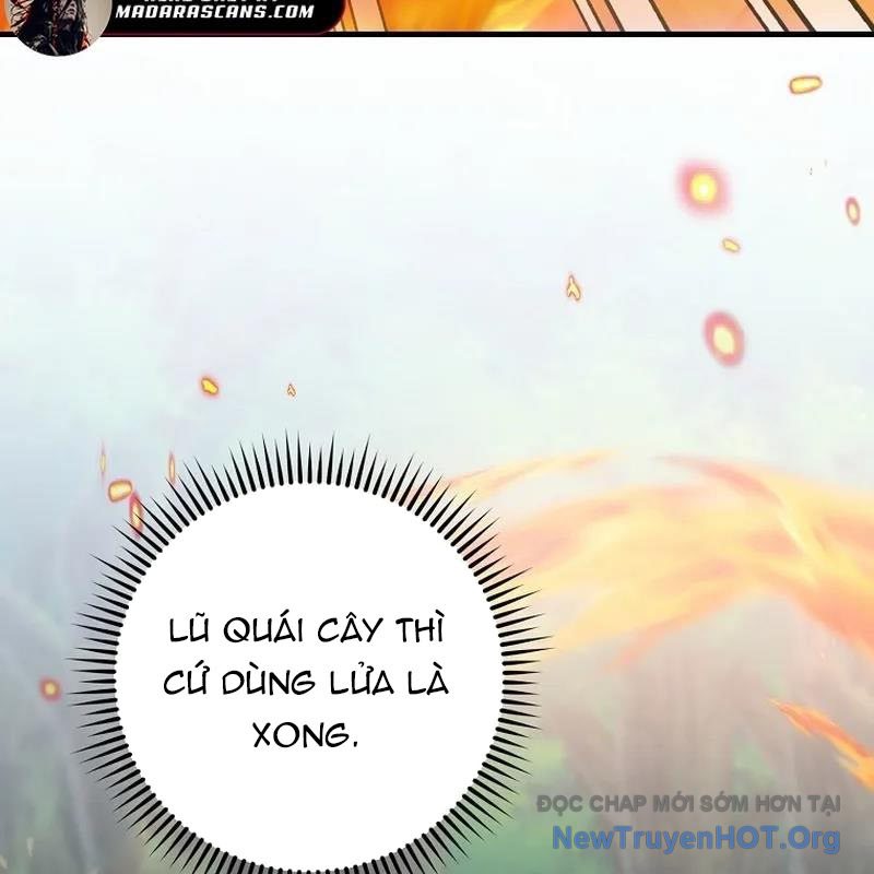 Bậc Thầy Toàn Bộ Kỹ Năng chapter 17 - Trang 40