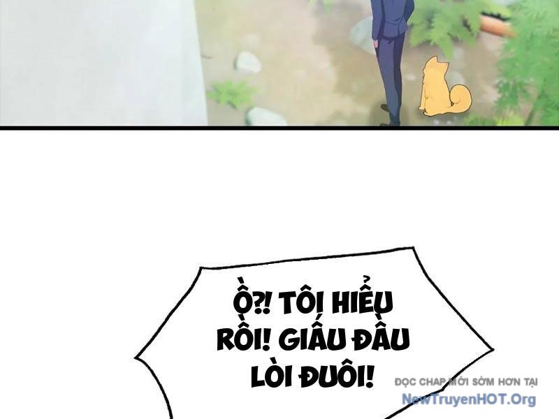 đô Thị Thánh Thủ: Ta Là Y Võ đỉnh Phong chapter 127 - Trang 58