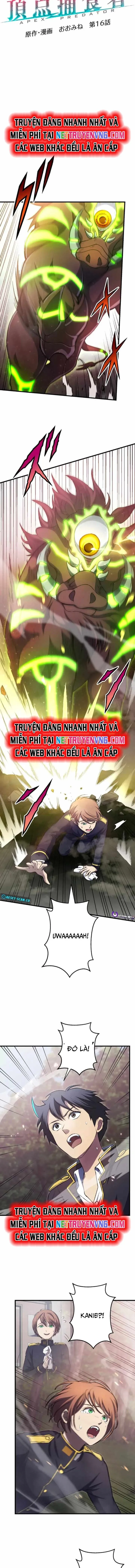 Quật Khởi Từ Tầng Đáy Chapter 16 - Trang 1