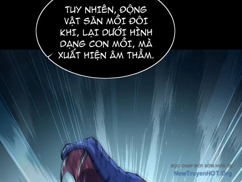 Dị Biến Giáng Lâm Nhân Gian: Triệu Hoán Chi Chủ! chapter 10 - Trang 5