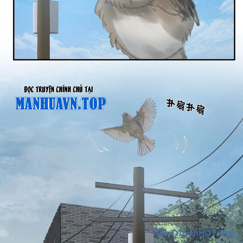Ta Không Muốn Trùng Sinh Đâu chapter 432 - Trang 31
