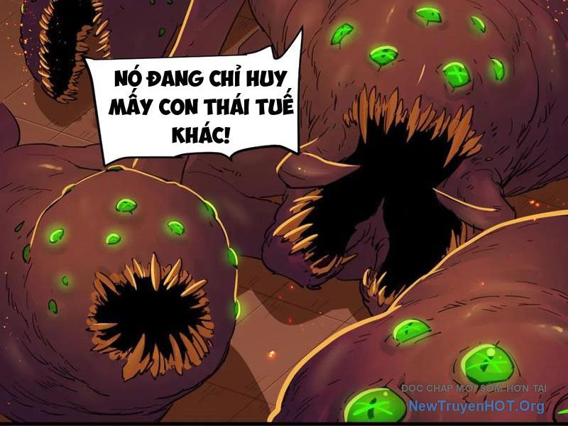 Hộp Mãnh Thú: Kỷ Nguyên Cơ Giáp chapter 37 - Trang 11