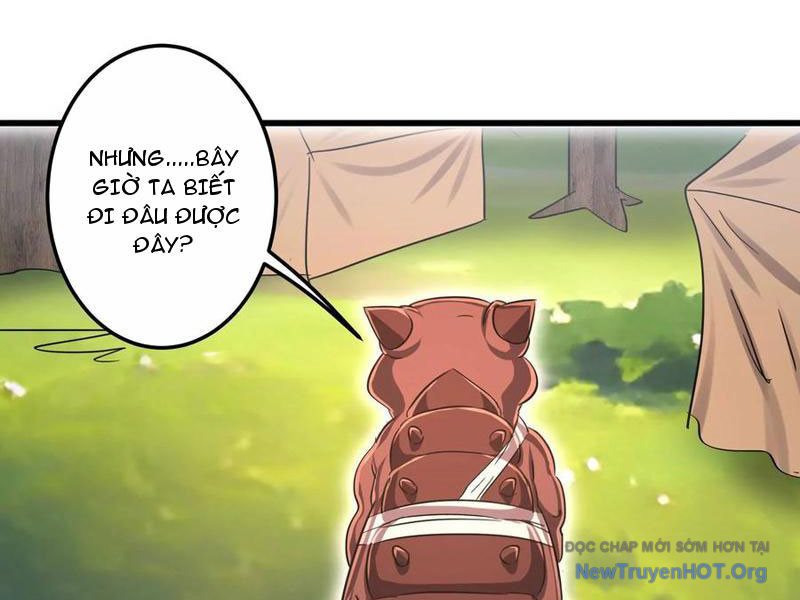 Vũ Trụ Trùng Vương chapter 47 - Trang 17
