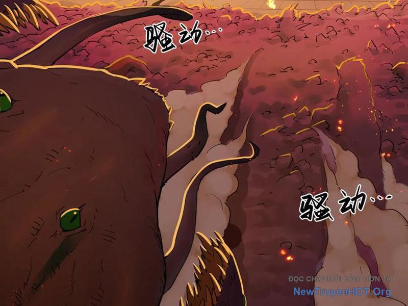 Hộp Mãnh Thú: Kỷ Nguyên Cơ Giáp chapter 37 - Trang 14