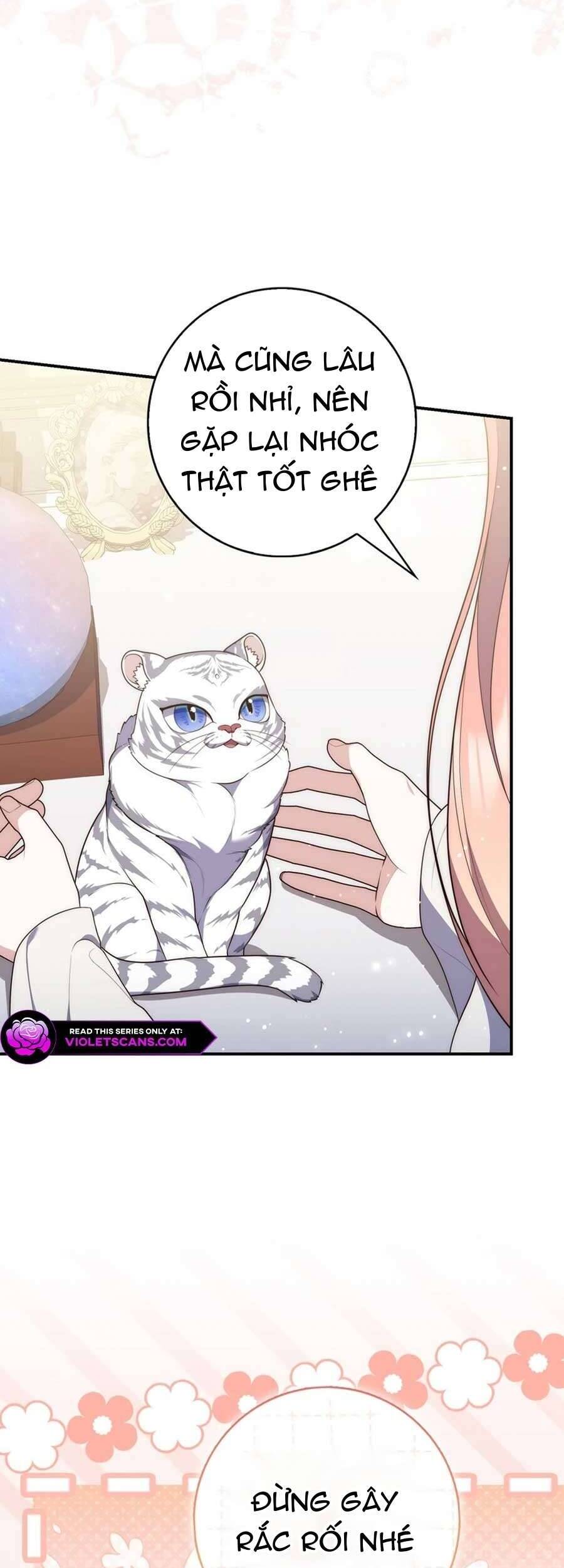 Nàng Công Chúa Tiên Tri Chapter 104 - Trang 17