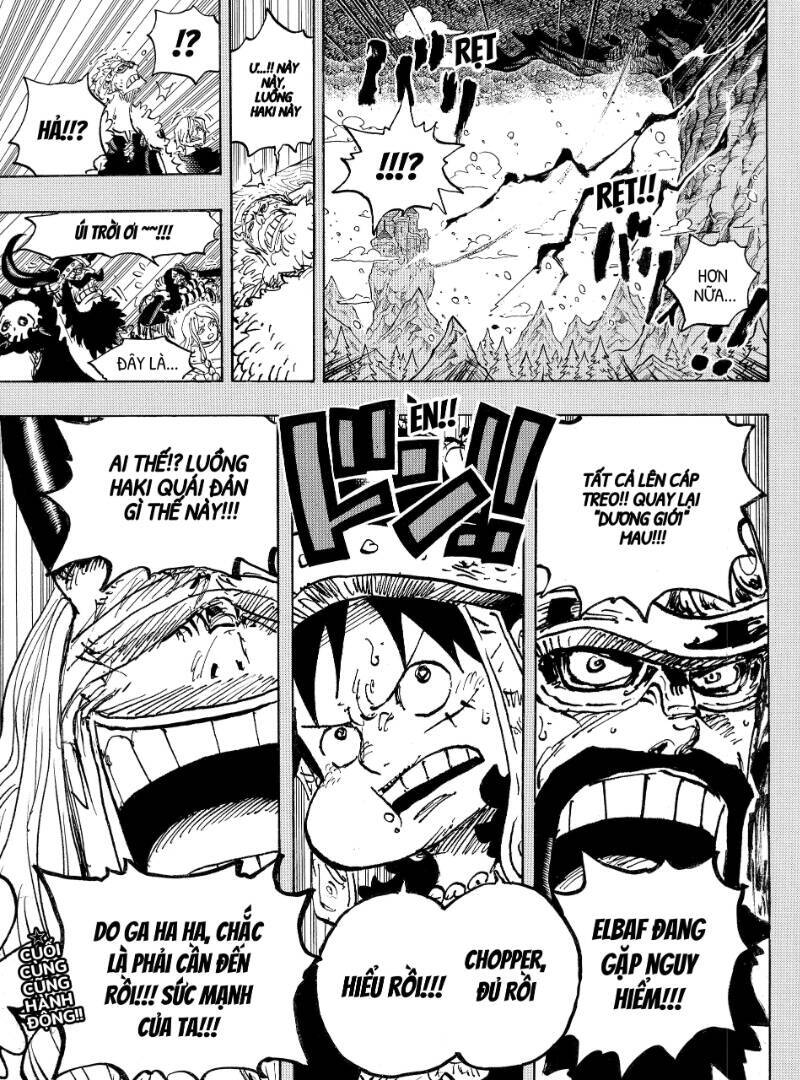Đảo Hải Tặc Chapter 1151 - Trang 12