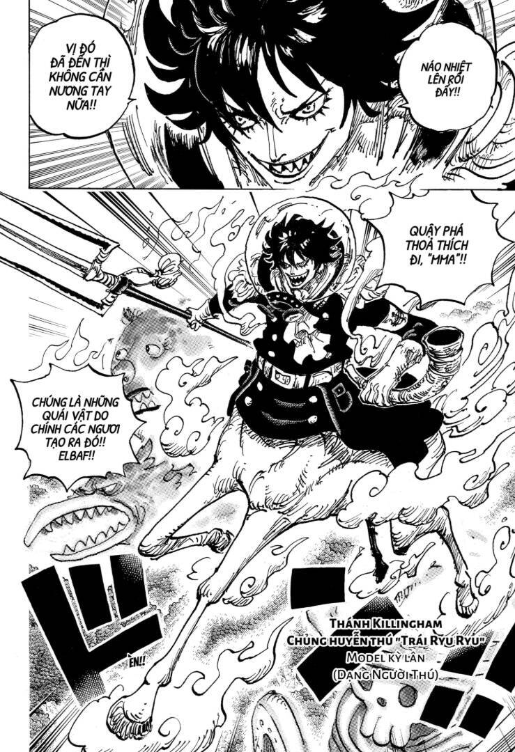 Đảo Hải Tặc Chapter 1151 - Trang 4