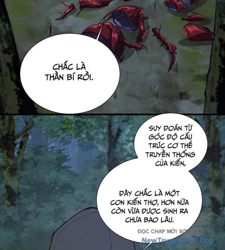 Ta Học Trảm Thần Trong Bệnh Viện Tâm Thần chapter 238 - Trang 3