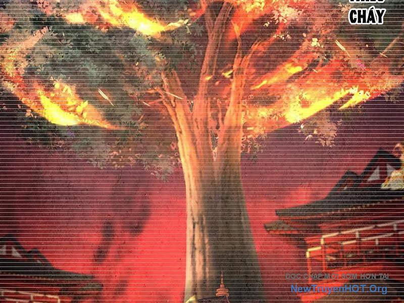 Hoá Ra Ta Là Lão Tổ Ma đạo? chapter 102 - Trang 32