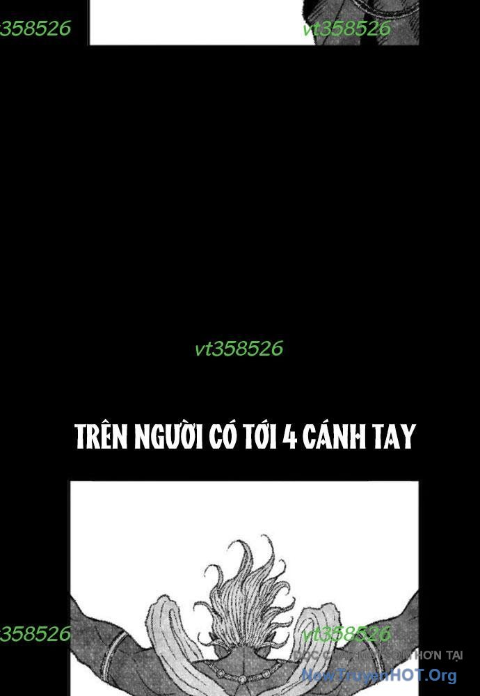 Hắc Sa chapter 48 - Trang 8