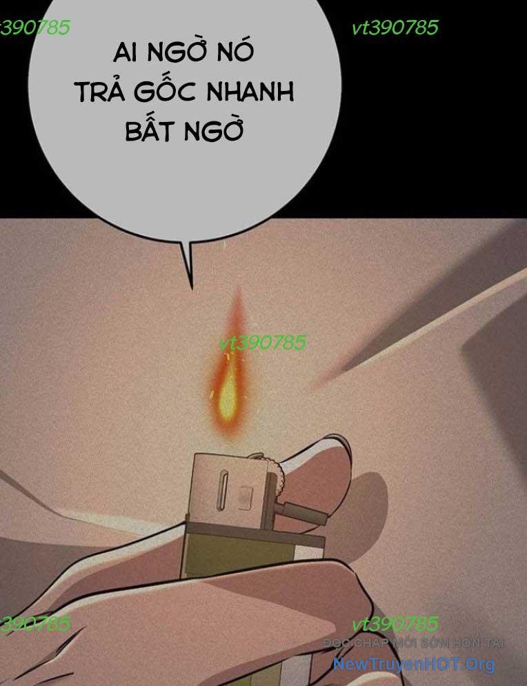 Vương Hậu Đi Học chapter 50 - Trang 4