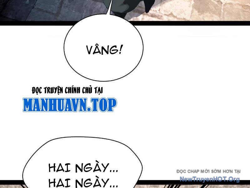 Chàng Rể Mạnh Nhất Lịch Sử chapter 307 - Trang 63