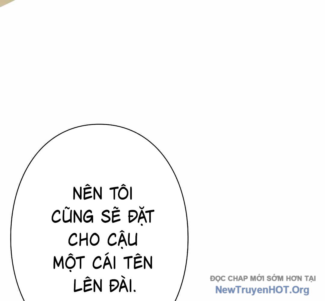 Ác Nhân Lồng Bát Giác chapter 31 - Trang 17