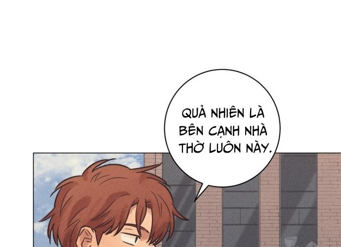 Phỏng Vấn Sát Nhân chapter 72 - Trang 11