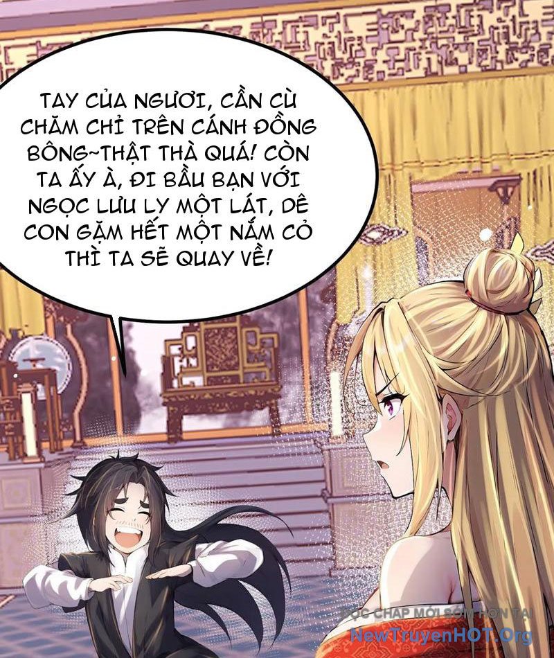 Tu Tiên Hàng Triệu Năm: đệ Tử Của Ta Rải Rác Khắp Tiên Giới! chapter 62 - Trang 38