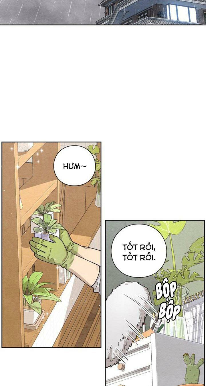 Bí Mật Thanh Xuân Chapter 1 - Trang 63