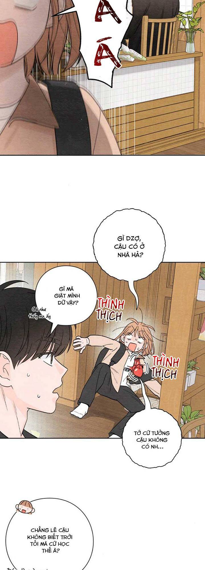 Bí Mật Thanh Xuân Chapter 4 - Trang 13