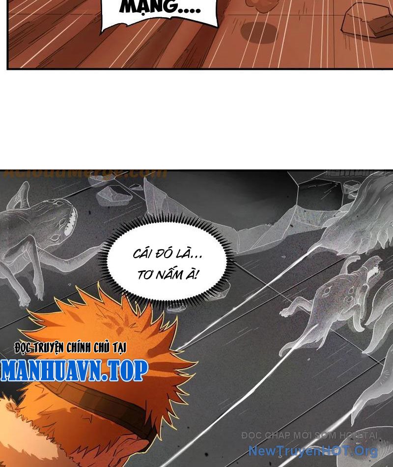 Hộp Mãnh Thú: Kỷ Nguyên Cơ Giáp chapter 41 - Trang 13