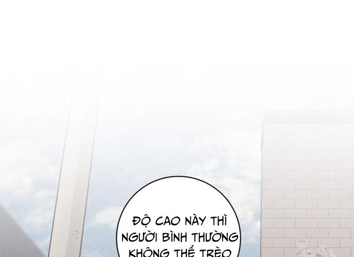 Phỏng Vấn Sát Nhân chapter 72 - Trang 25