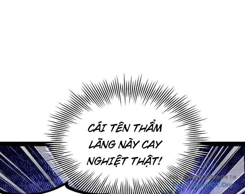 Chàng Rể Mạnh Nhất Lịch Sử chapter 308 - Trang 35