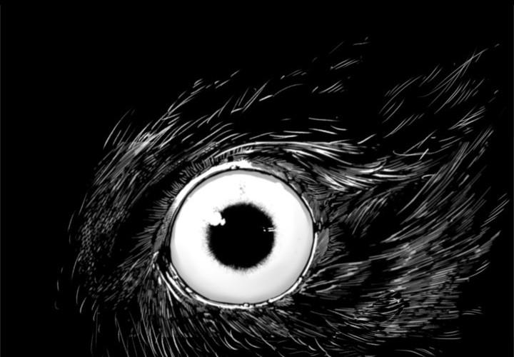 Hoàn Ác Vương Quyền Và Tự Do chapter 2 - Trang 3