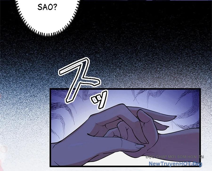 Kẻ Được Chọn Cấp SSS chapter 1 - Trang 24