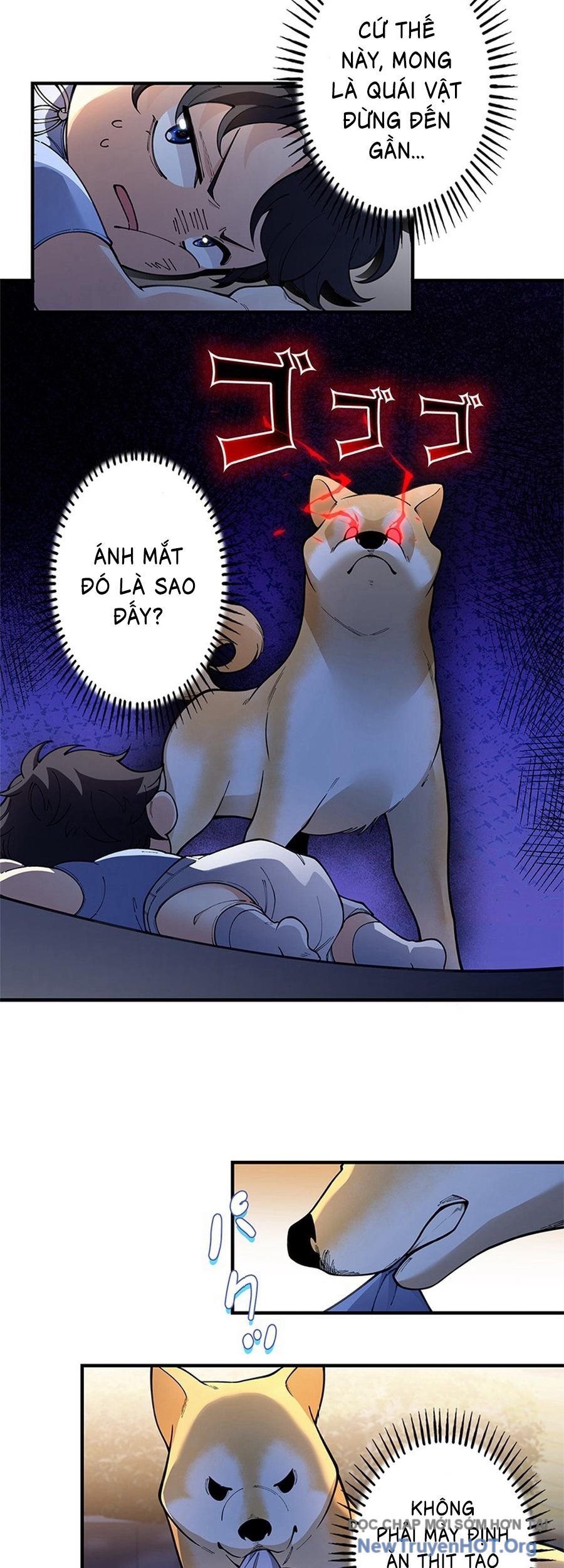 Kẻ Được Chọn Cấp SSS chapter 4 - Trang 12
