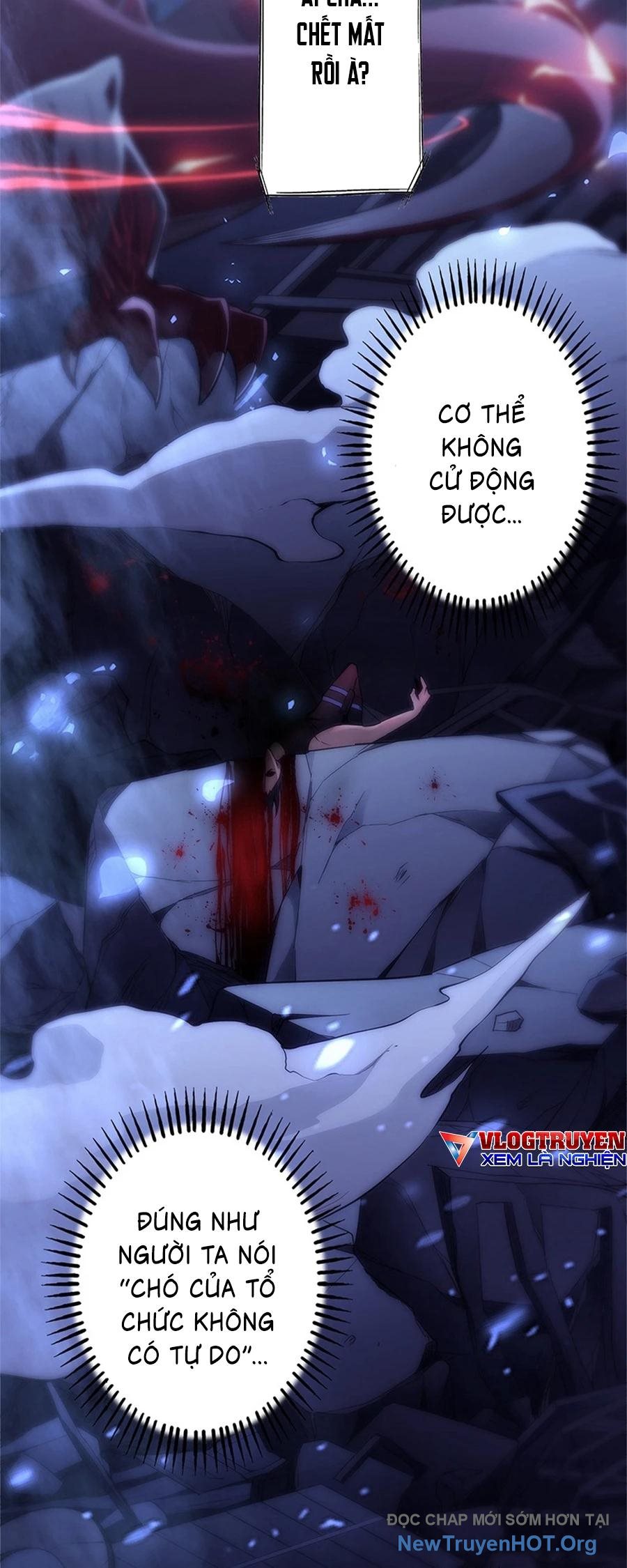 Kẻ Được Chọn Cấp SSS chapter 1 - Trang 19