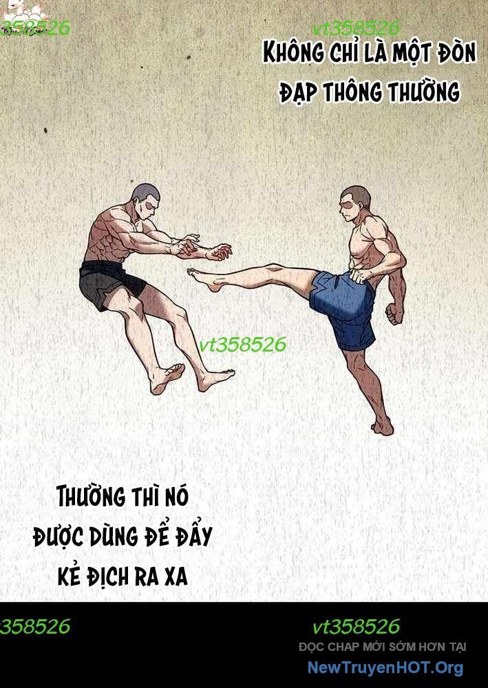 Lão Đại Trung Niên Không Danh chapter 8 - Trang 53
