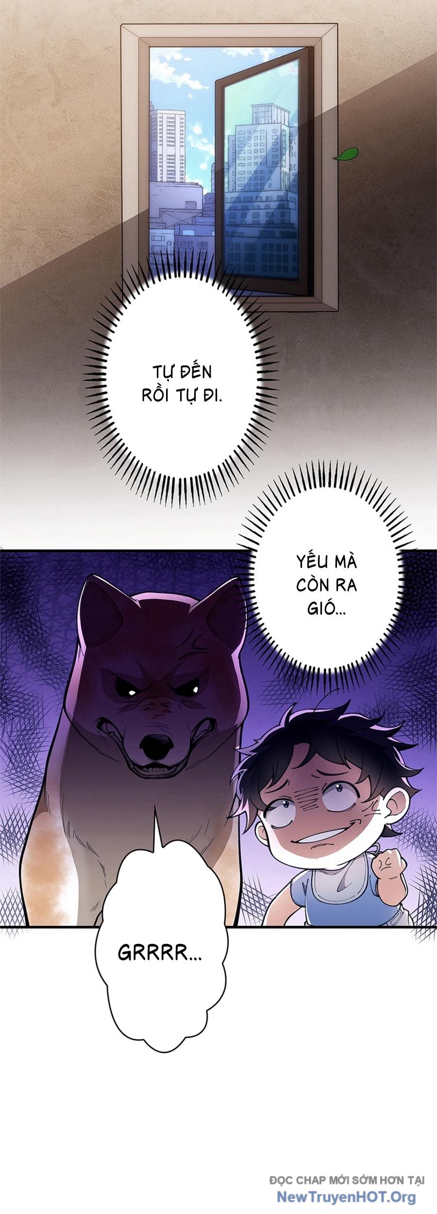 Kẻ Được Chọn Cấp SSS chapter 3 - Trang 17