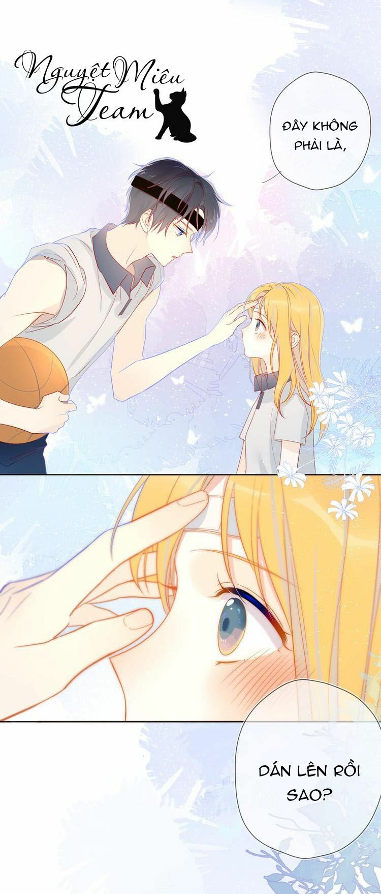 Ngôi Sao Cho Tôi Chapter 7 - Trang 0