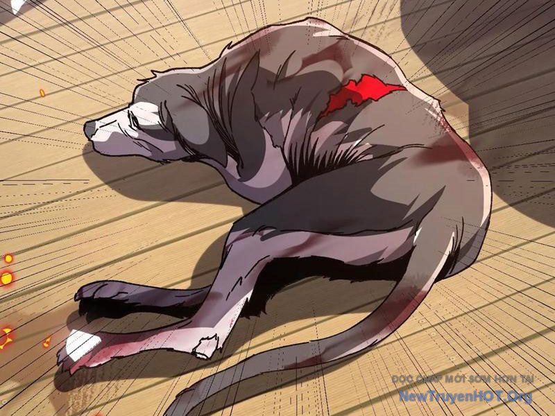 Dị Biến Giáng Lâm Nhân Gian: Kế Hoạch Thanh Trừ Người Chơi Chap 17 - Next Chap 18