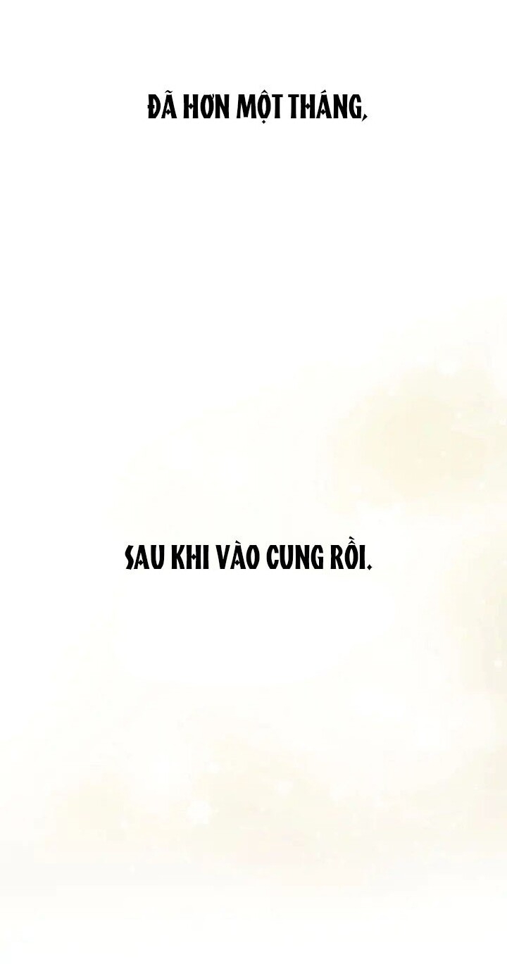 Ái Phi, Dao Của Nàng Rơi Rồi Chapter 3 - Trang 0