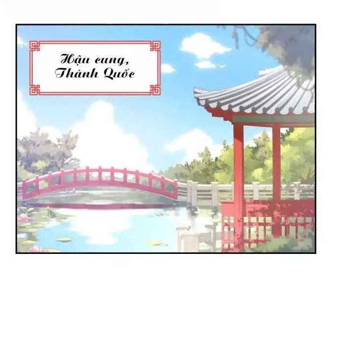 Ái Phi, Dao Của Nàng Rơi Rồi Chapter 1 - Trang 0