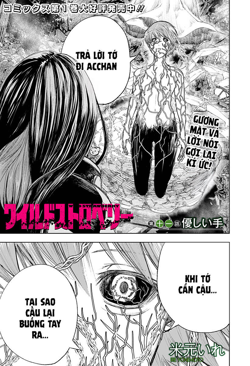 Wild Strawberry Chapter 11 - Trang 0